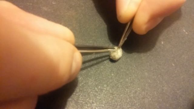 Latrodectus geometricus egg sac opening смотреть онлайн