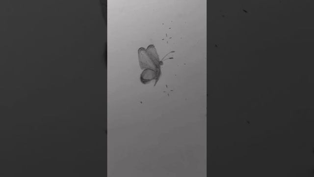 Бабочка?✨️ #рекомендации #рисование #бабочки смотреть онлайн