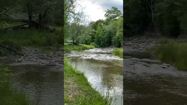 Rougue valley conservation centre. Scarborough canada. смотреть онлайн