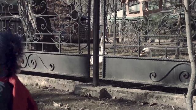 Ангелы, это наши дети! смотреть онлайн