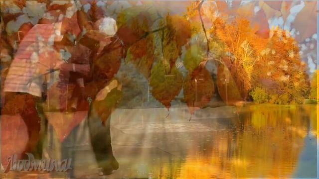 Шалунья осень-Владимир Алмазов смотреть онлайн