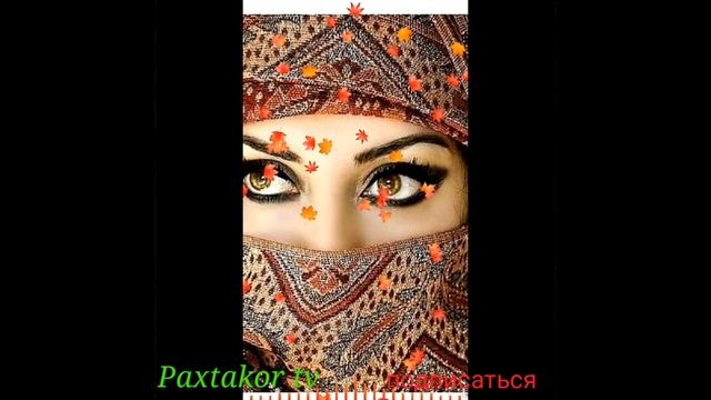 Арабский песня смотреть онлайн
