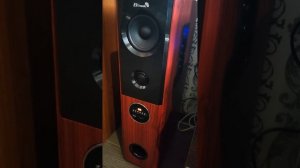 Колонки Eltronic 20-82 Home Sound
