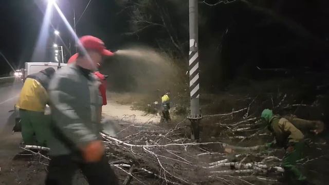 Аренда мощный измельчитель веток и деревьев. Смоленск и обл. Макс. диаметр 22см. 80л.с. смотреть онлайн