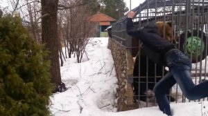 Не лезь, она тебя сожрëт