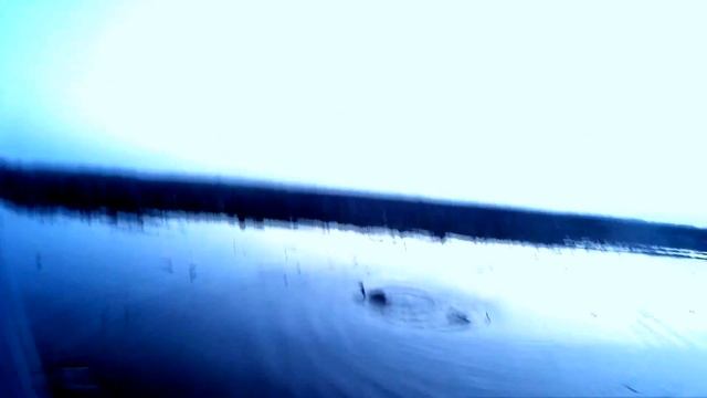 Охота на гуся 2016... смотреть онлайн