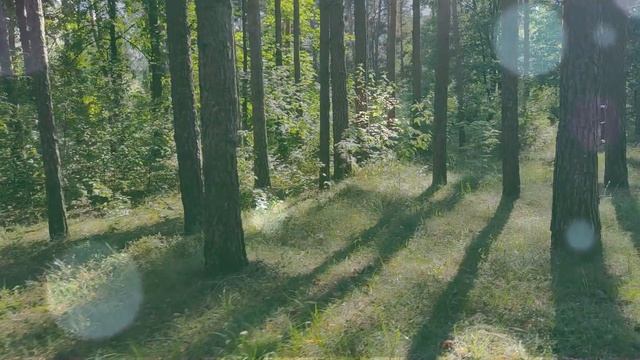 ?Молитва СЕГОДНЯ УДЕЛИ СЕГОДНЯ 30 СЕКУНД И ДЕНЬГИ ПРИДУТ ОТКУДА НЕ ЖДЁШЬ. ? смотреть онлайн