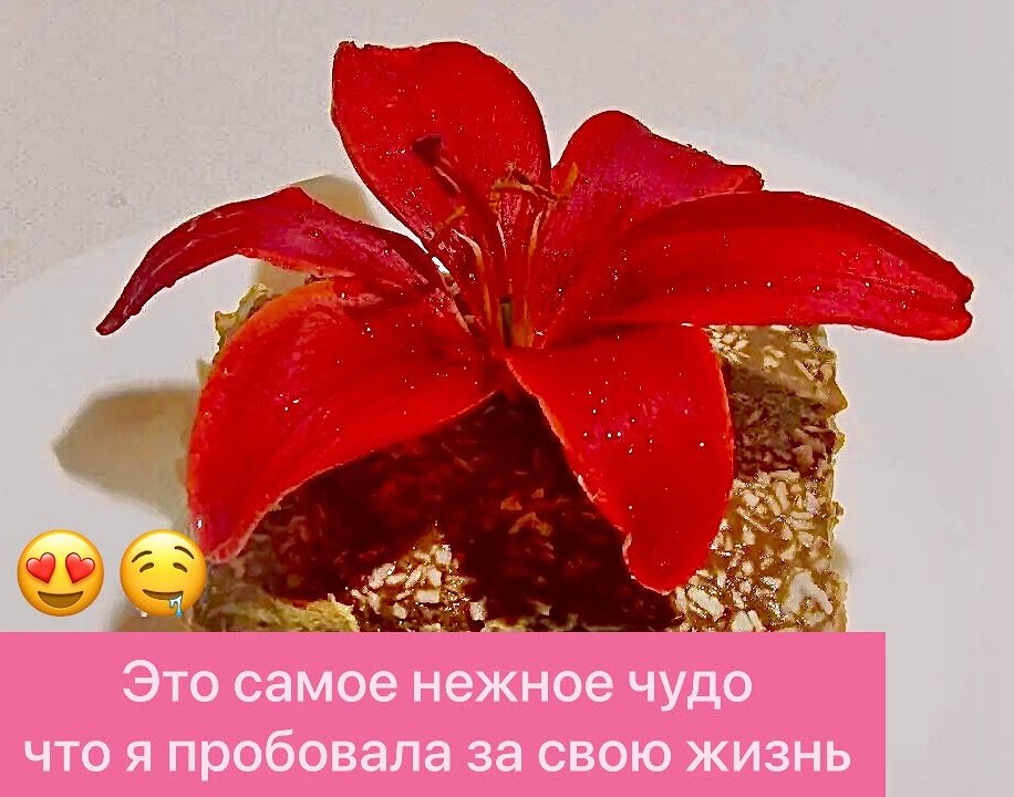 САМЫЙ БЫСТРЫЙ И ВКУСНЫЙ ТОРТ ИЗ ПЕЧЕНЬЯ БЕЗ ВЫПЕЧКИ ВСЕГО ЗА 15 МИНУТ! смотреть онлайн