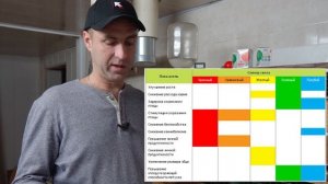 Освещение в брудере для цыплят.Свет.Цвет и Мощность ламп для цыплят в брудере.