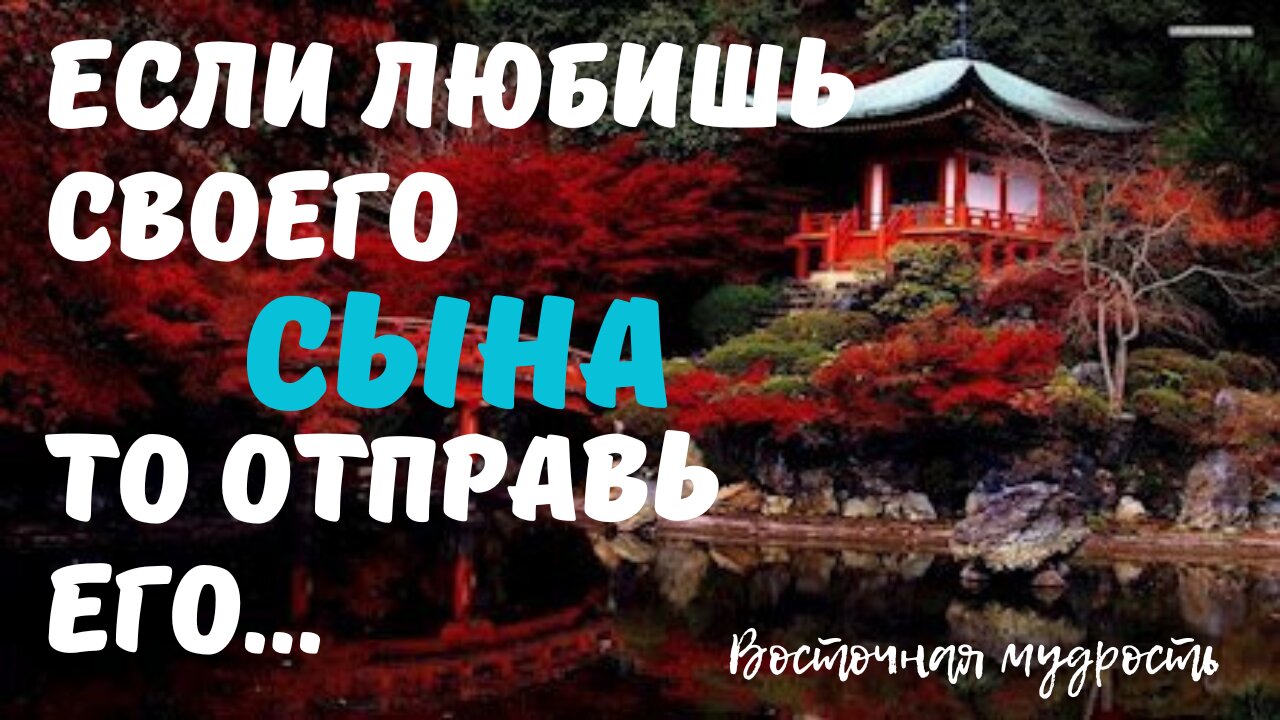 Японская мудрость- цитаты, после которых вы задумаетесь о своей жизни. смотреть онлайн