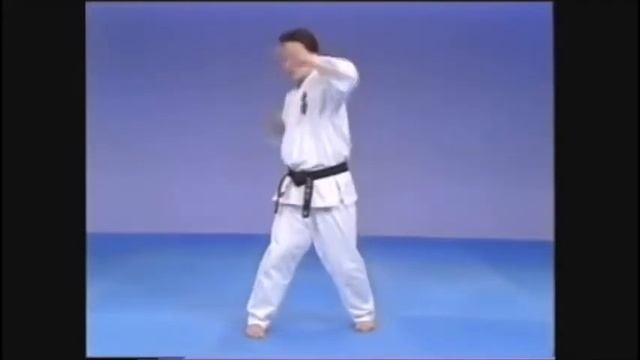 Kyokushin 101: Shuto Uchi Uchi