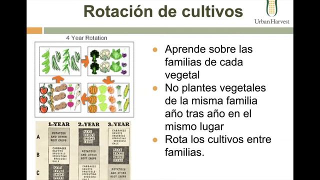 [ESP] Básicos del cultivo orgánico смотреть онлайн