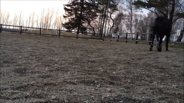 Prince Ata och My Andersson myser смотреть онлайн