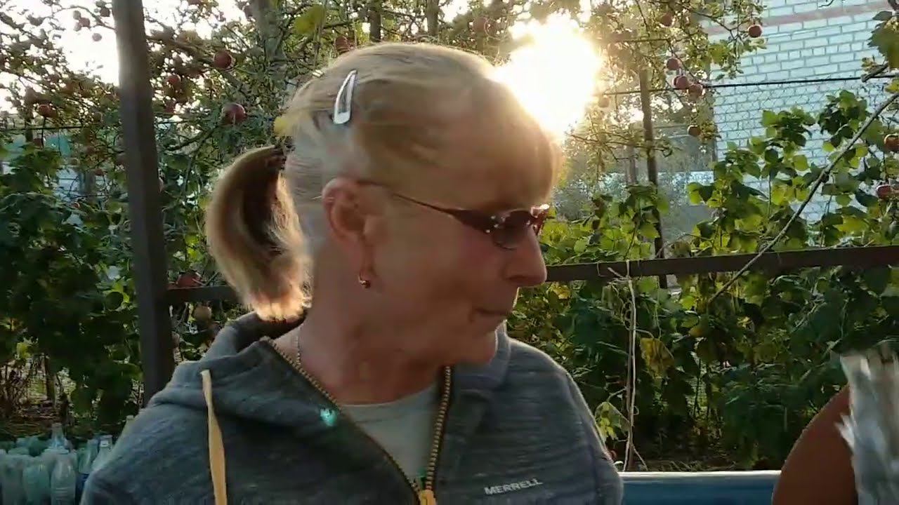 Розы. Посылка с розами из питомника Мери Роуз. смотреть онлайн