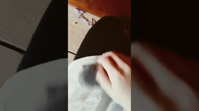 у меня есть котята кто хочет взять бесплатно пишите в комментарии город нефтикамске смотреть онлайн