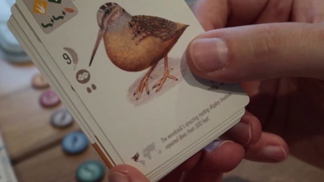 ASMR Board Game Wingspan from Stonemaier Games смотреть онлайн