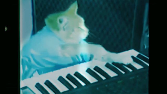 Кот Поёт На Пианино! смотреть онлайн