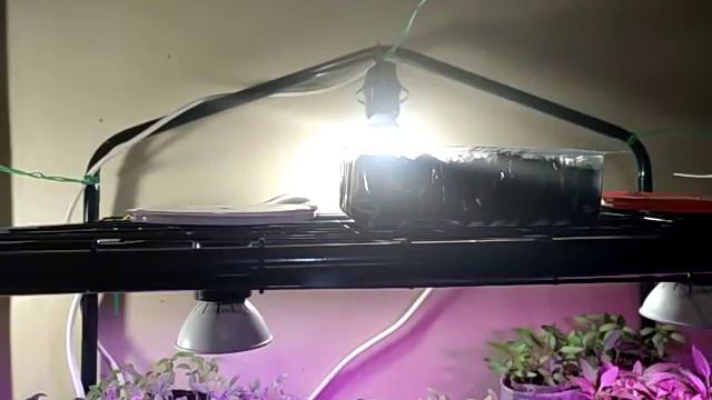 ДОМОЙ ЗНАЧИТ МОЖНО А ЕСЛИ ЧЕЛОВЕК САМ ПРИЕХАЛ ТО НЕЛЬЗЯ смотреть онлайн