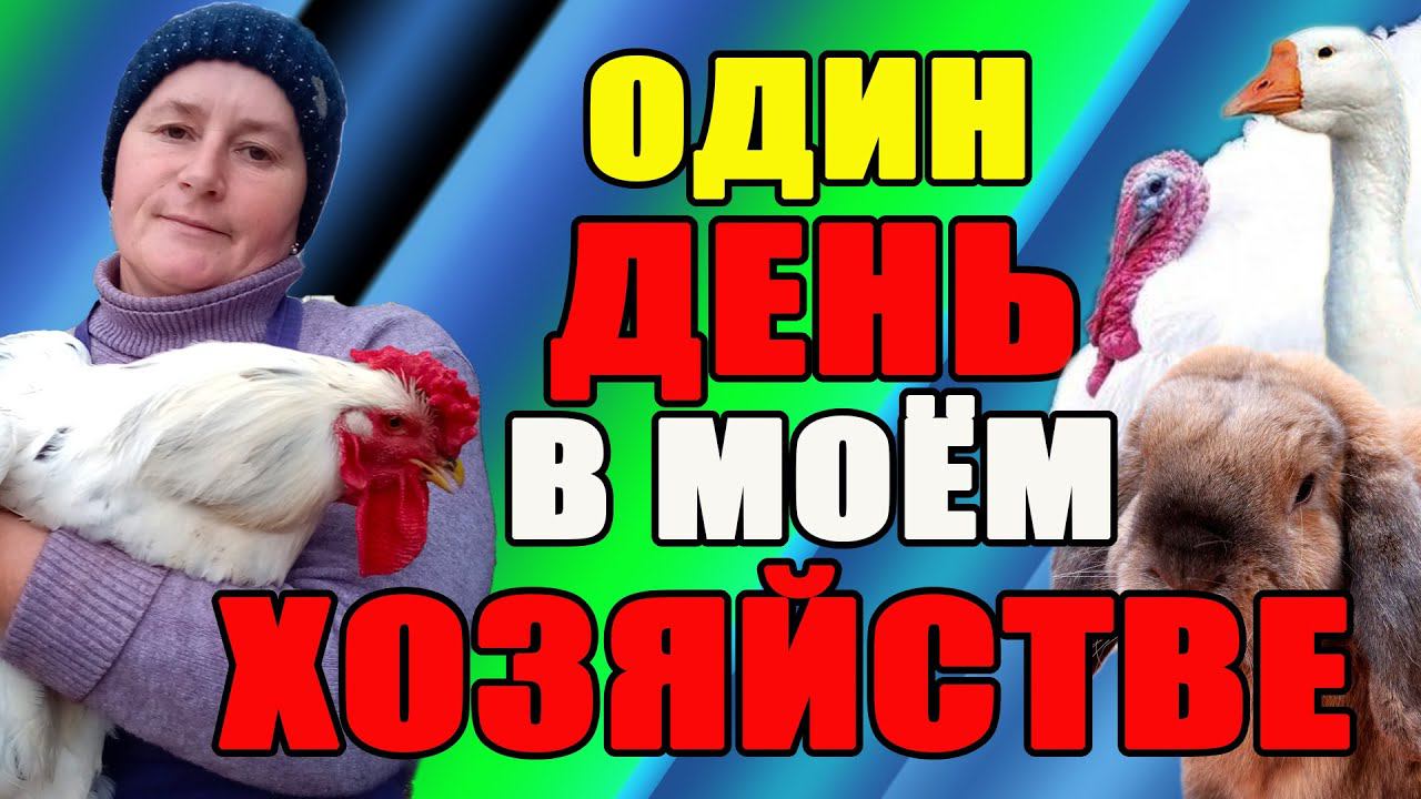 Один день в моем хозяйстве. Подводим итоги. смотреть онлайн