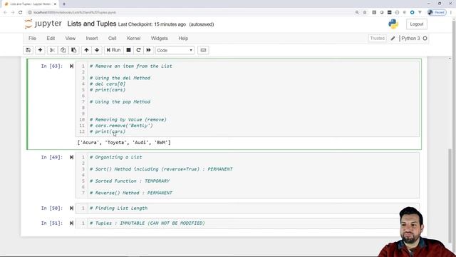 Working with Python Lists and Tuples | Python Bootcamp: Lesson 04 смотреть онлайн