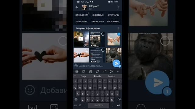 telegram bot для анонимного общения смотреть онлайн