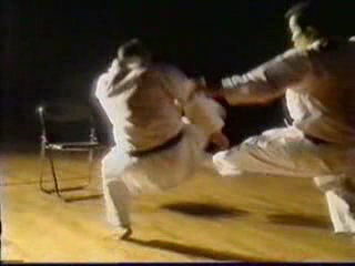 КАРАТЭ ШОТОКАН смотреть онлайн