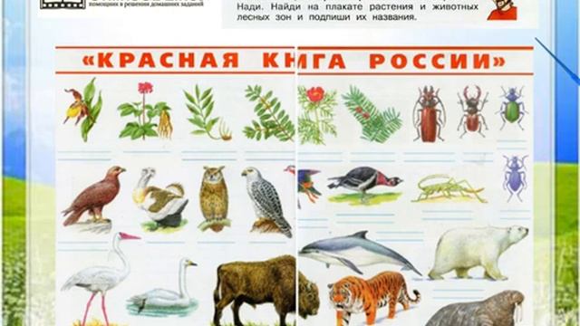 Задание 4 Лес и человек - Окружающий мир 4 класс (Плешаков А.А.) 1 часть смотреть онлайн