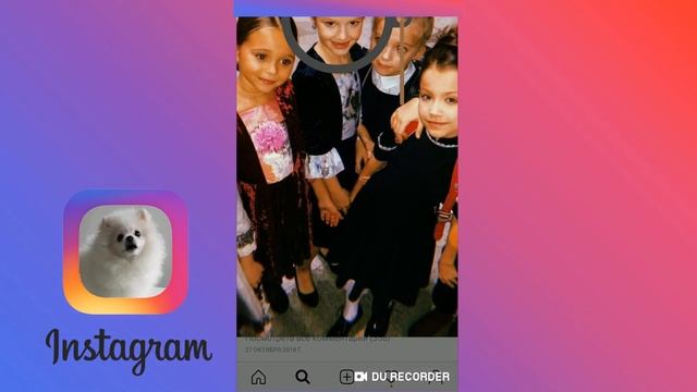 Песик Котя смотрит сторис инстаграм популярных каналов. Приколы от Глеб топ шоу #1 смотреть онлайн