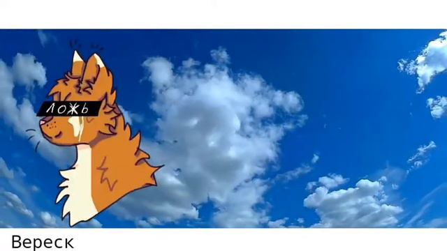 Коты-воители•Higher meme【+1000】 смотреть онлайн
