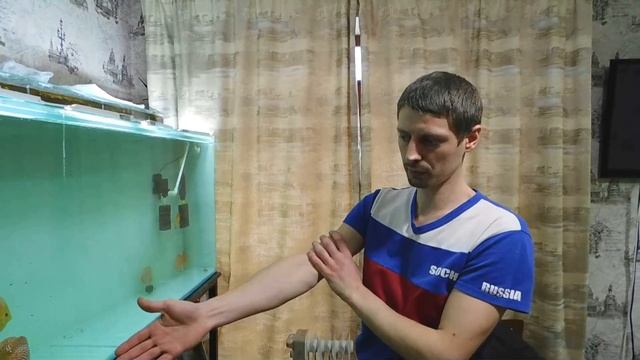 В гостях у Дениса Сорокина. Вопрос:Ответ. Дискусы.