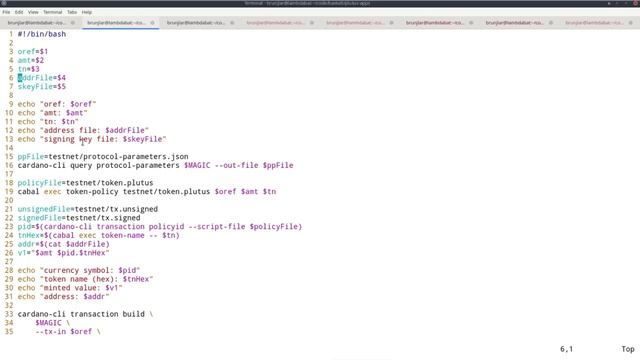PPP 030603 - Minting with the CLI смотреть онлайн
