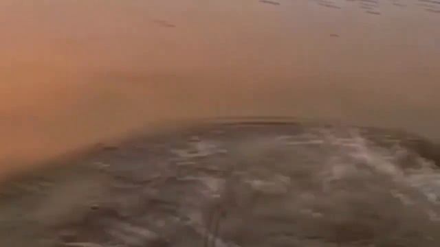 Состав мяса карася. В чем особенность карася смотреть онлайн