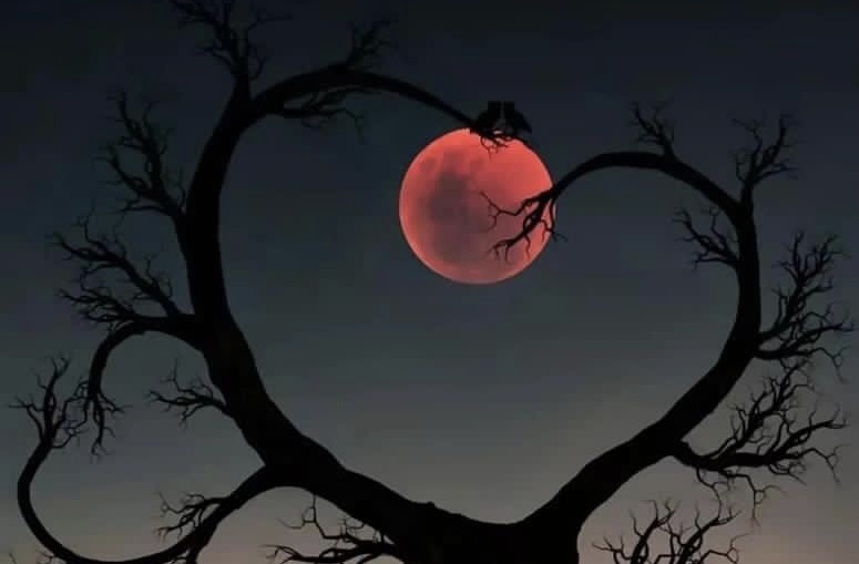 Обманы обернулись в истины