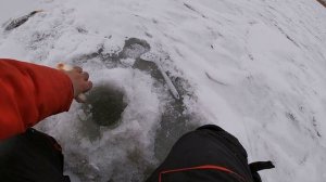 Ловля КРУПНОГО ОКУНЯ на чертика. Эти КОНИ РВУТ леску. Ловля окуня на меляке на мормышку Рыбалка 202