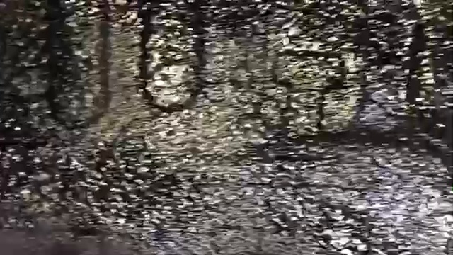 Наносим на Х-трейл жидкие подкрылки, комфорт в салоне возрастет, да еще и защита арок от коррозии смотреть онлайн