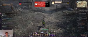 Throne and Liberty. ЛУК + Кинжалы 50 LvL