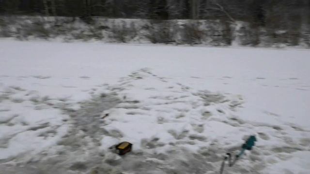 Новогодняя рыбалка 2020 ( пос. Центральный , р.Кострома) смотреть онлайн
