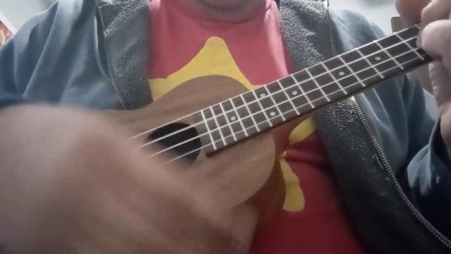 Mr. Universe - Steven Universe Future (Ukulele Cover) смотреть онлайн