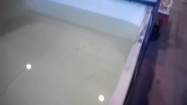 Охота и рыболовство на Руси 2017. J.B. Wobler. Модель Troll120 смотреть онлайн