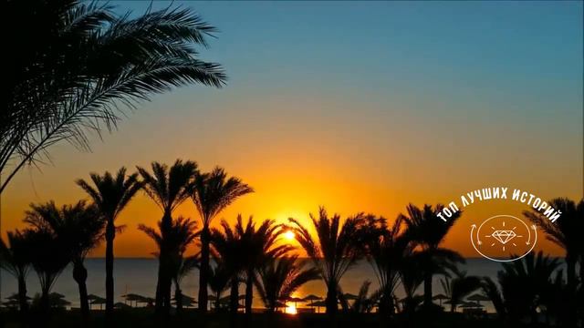 Истории из жизни. Я всегда своему мужу говорила, что он Голова, а я ШЕЯ, куда шея повернет, туда...