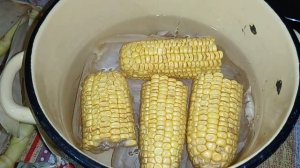 Как отварить старую кукурузу, гнилую, вялую, заплесневелую пролежавшую больше недели кукурузу варит