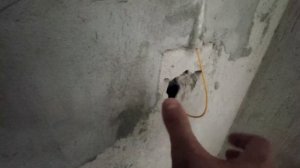 Как правильно перенести оптоволокно и интернет в квартире #ркд 5 серия