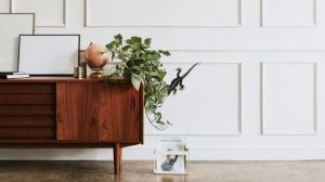 CAT Games | Ultimate Cat TV Compilation Vol 20 | 2 HOURS 🐝🐞🦋🦎🦜🐜🐭🧵