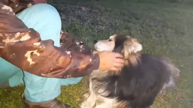 15 июля 2022 г. смотреть онлайн