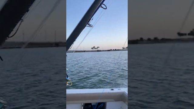Sailfish 270 CC with Twin 200 HP Motors For Sale смотреть онлайн