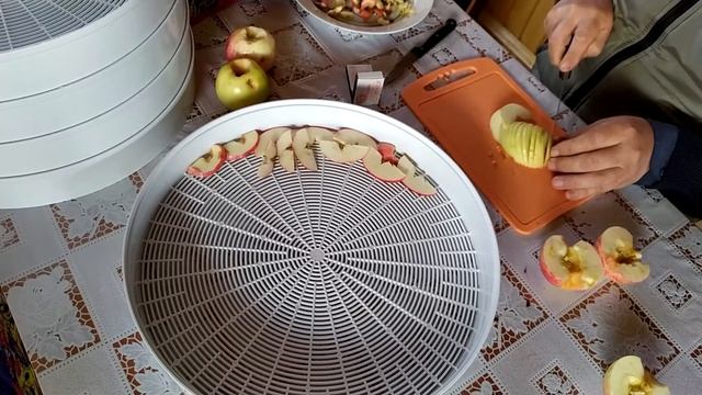 ЭЛЕКТРОСУШИТЕЛЬ ДЛЯ ОВОЩЕЙ И ФРУКТОВ «Ветерок-2» Обзор. Сушка фруктов. Часть1 смотреть онлайн