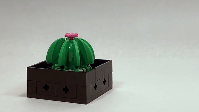 LEGO Botanical Collection: Succulents Review! смотреть онлайн