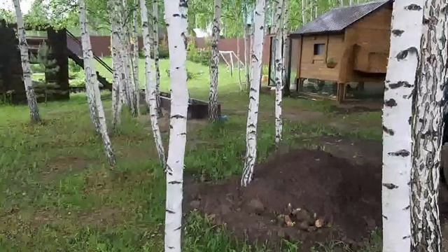 Мини курятник своими руками на 5, 10, 15 кур смотреть онлайн