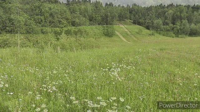 Экология понятными словами смотреть онлайн