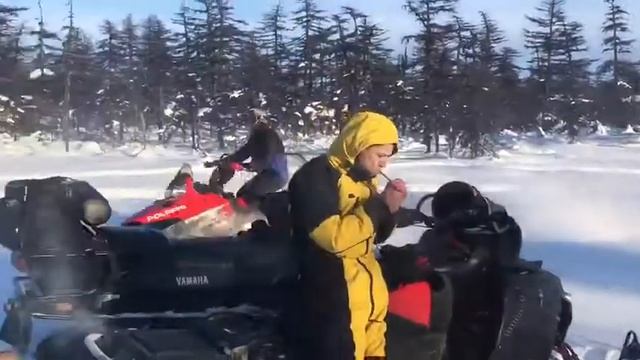 Polaris rmk900 смотреть онлайн